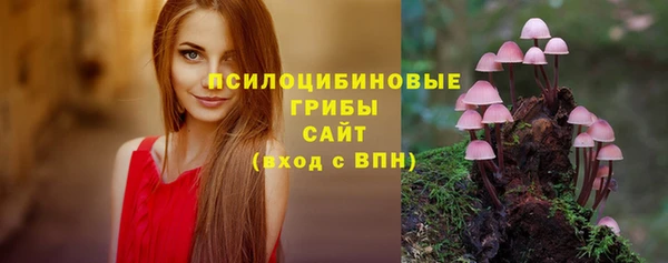 дживик Киренск